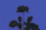 Neu-Antikglas blau